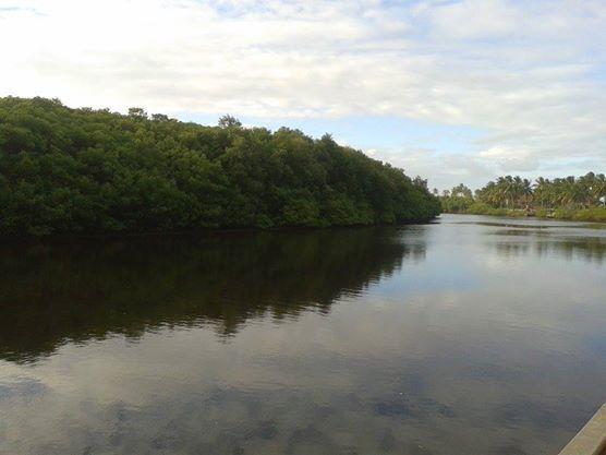Pousada Ilha Do Desejo Olivenca Ngoại thất bức ảnh