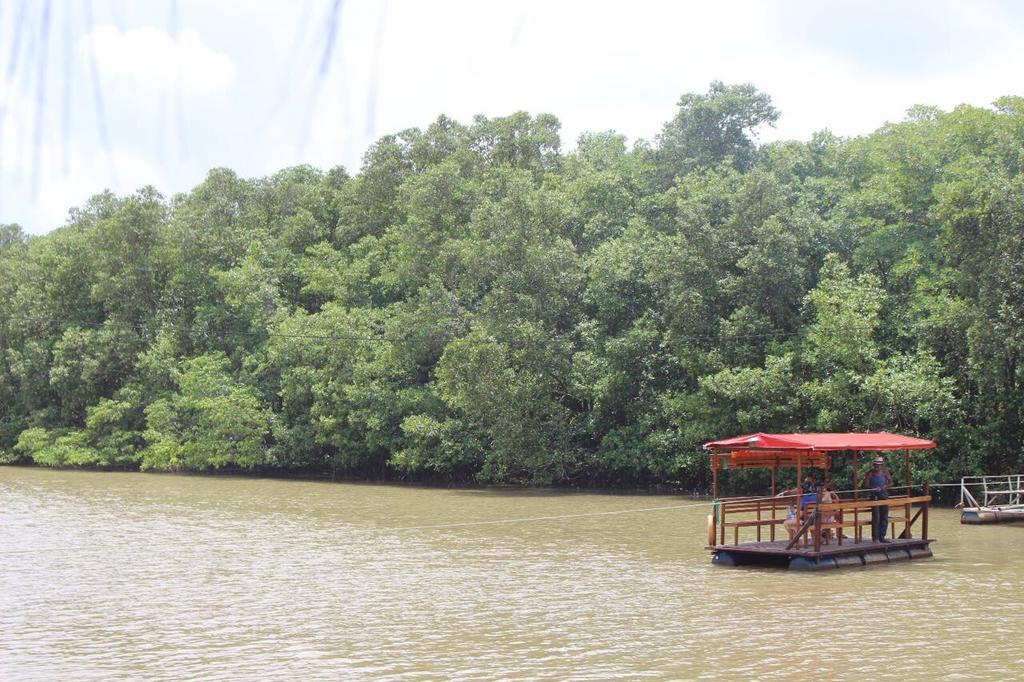 Pousada Ilha Do Desejo Olivenca Ngoại thất bức ảnh