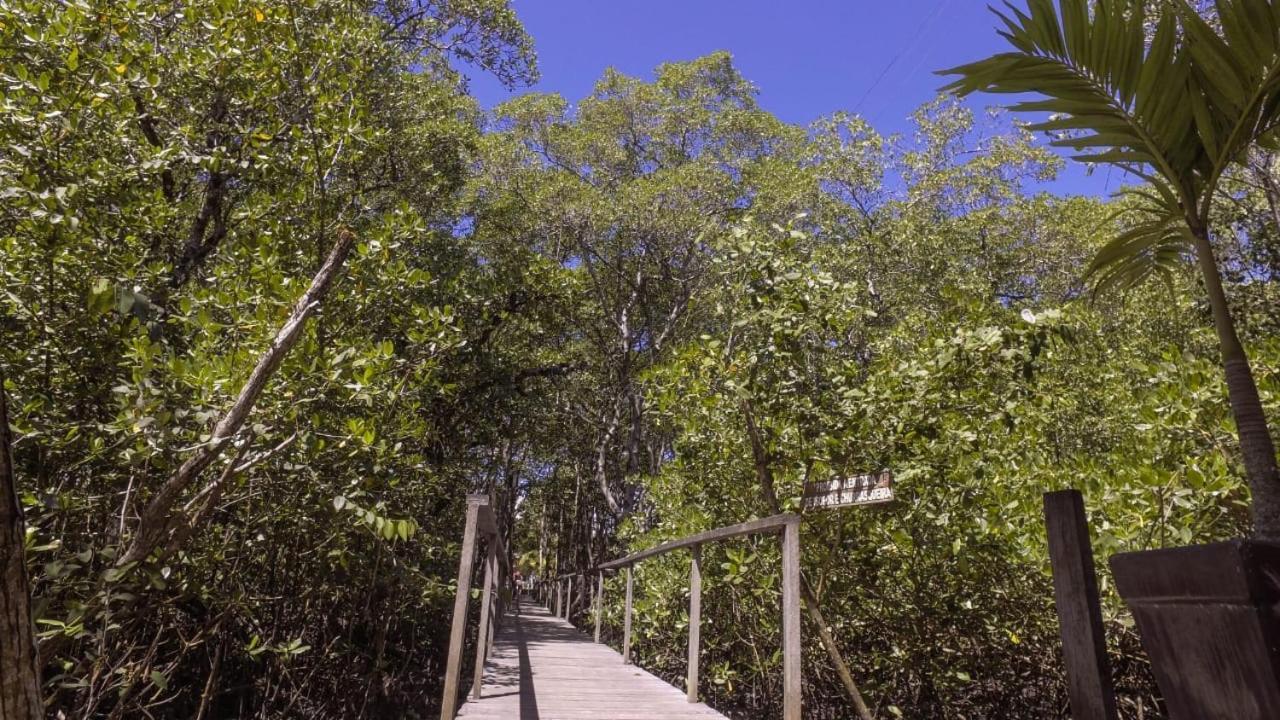 Pousada Ilha Do Desejo Olivenca Ngoại thất bức ảnh