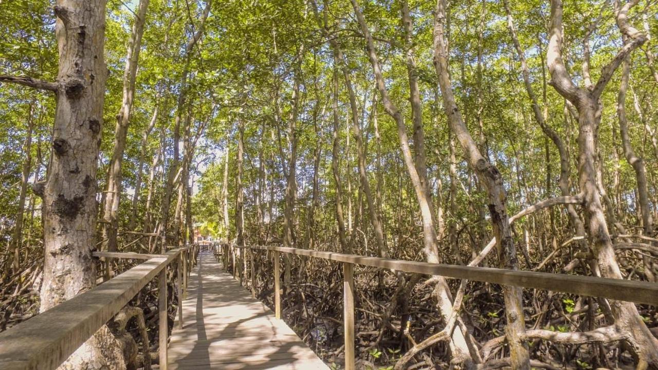 Pousada Ilha Do Desejo Olivenca Ngoại thất bức ảnh